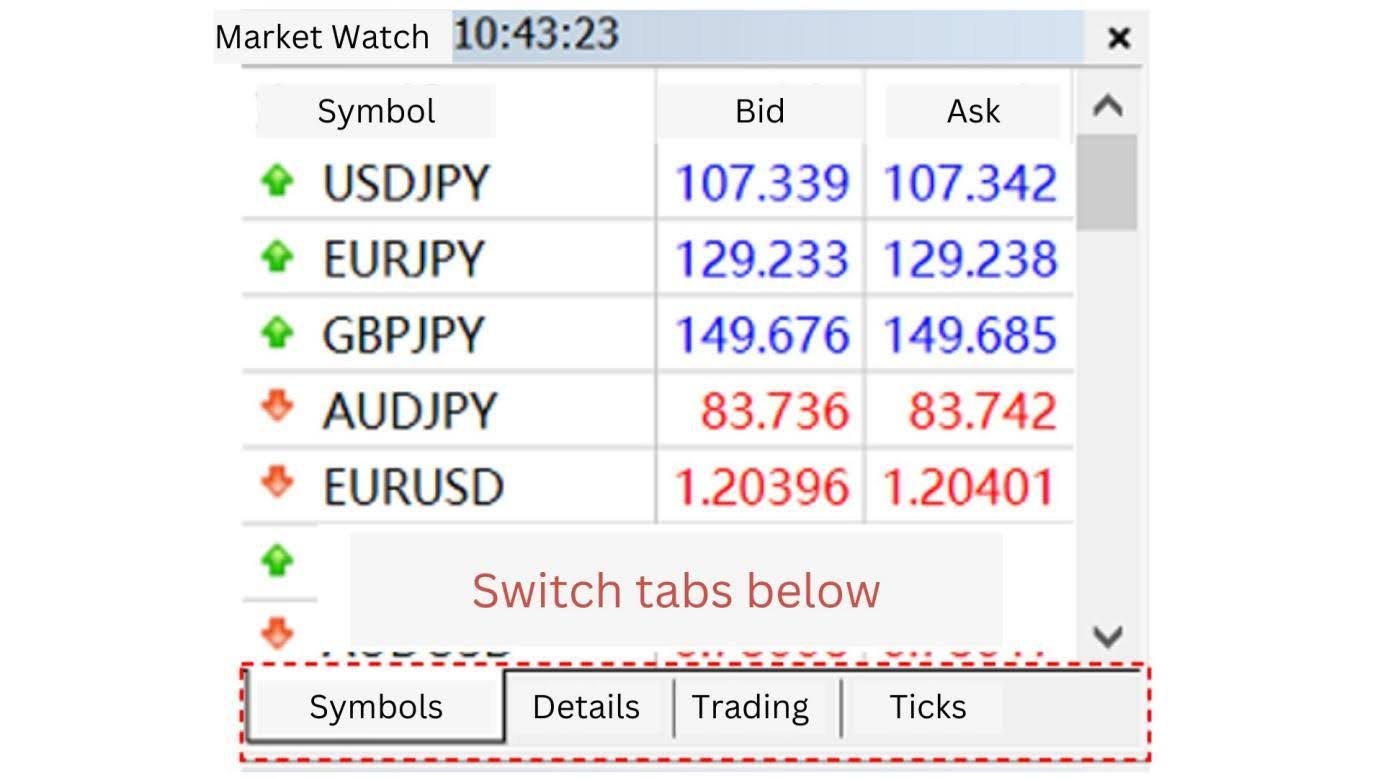Market Watch MT5